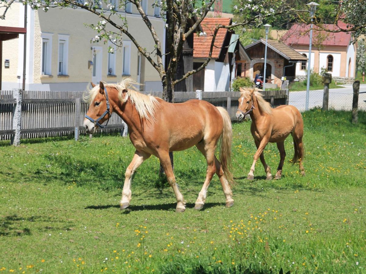 Gschwendnerhof Reitberger-Brandl Villa Rohrnbach Bagian luar foto